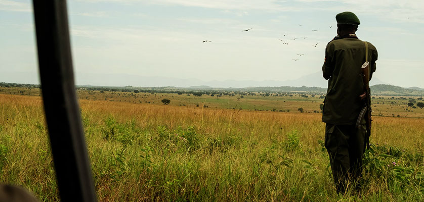 gorilla trekking permit cost