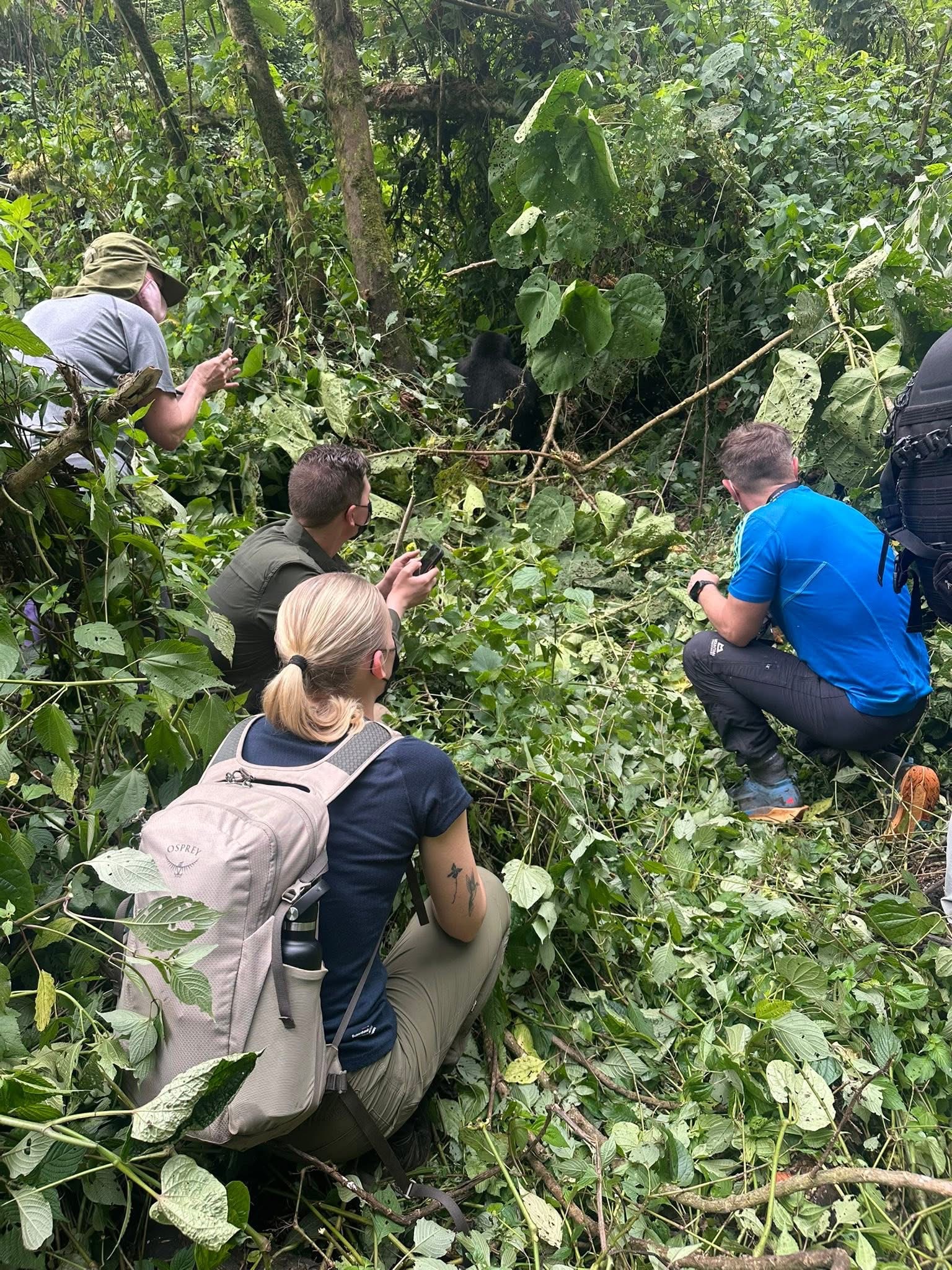 gorilla trekking permit cost