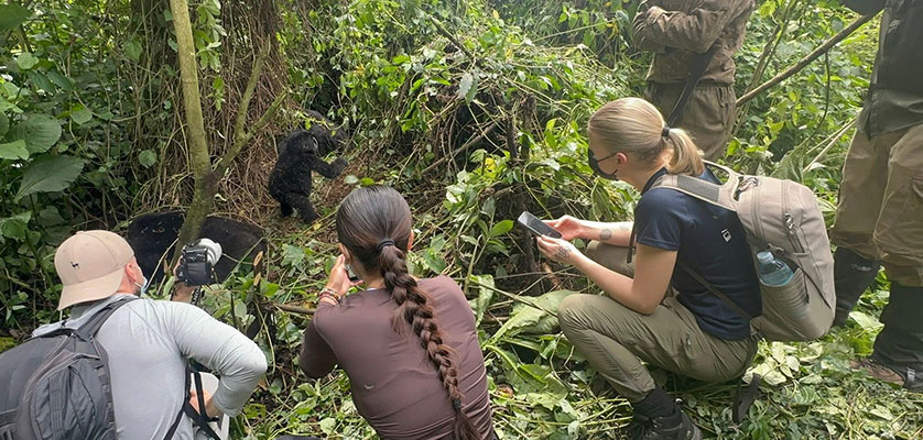 gorilla trekking permit cost
